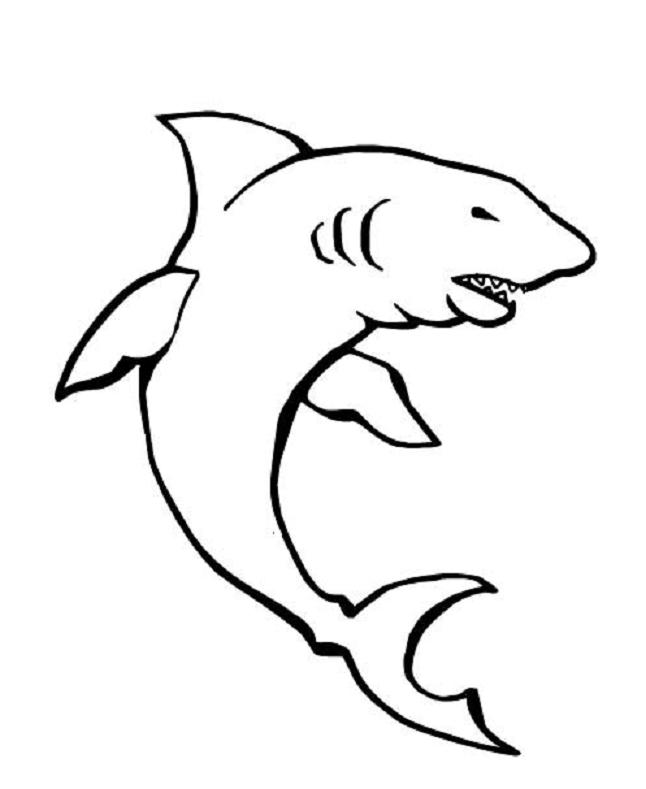coloriage requin a l affut